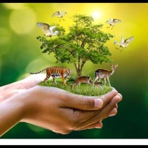 Meet your Posher, Nataly